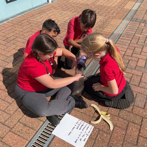 Science launch