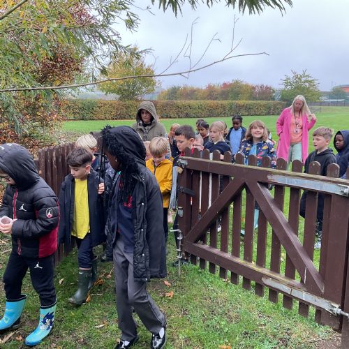 Walk to the Pond