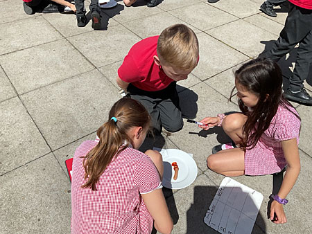 Red Oaks Primary School