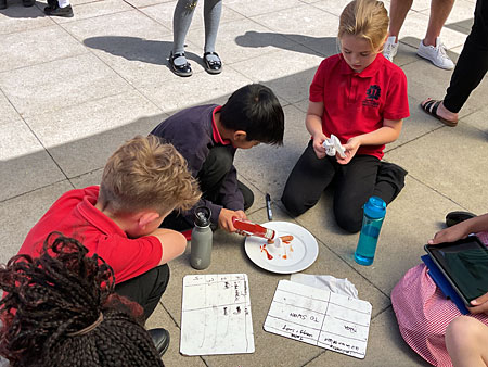 Red Oaks Primary School