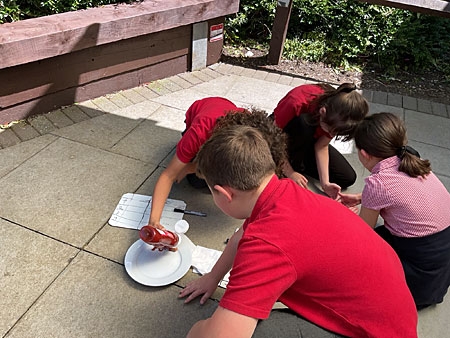 Red Oaks Primary School