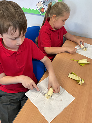 Red Oaks Primary School