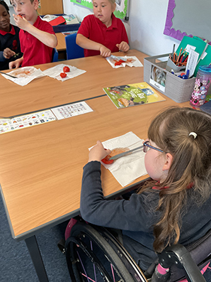 Red Oaks Primary School